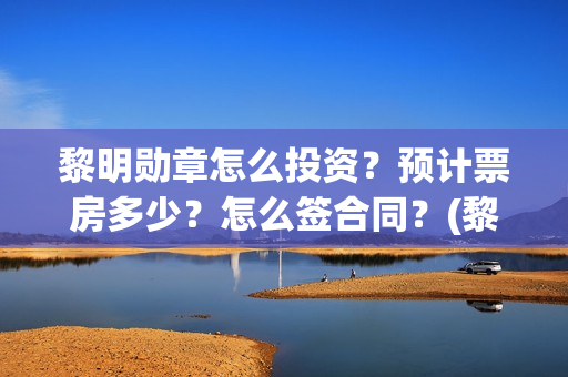 黎明勋章怎么投资？预计票房多少？怎么签合同？(黎明勋章的进度)