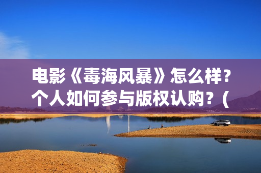 电影《毒海风暴》怎么样？个人如何参与版权认购？(毒海风暴有哪几个公司参与)