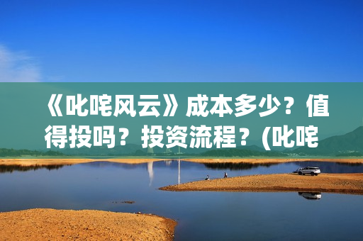《叱咤风云》成本多少？值得投吗？投资流程？(叱咤风云是何人)
