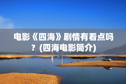 电影《四海》剧情有看点吗？(四海电影简介)