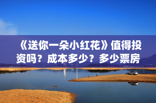 《送你一朵小红花》值得投资吗？成本多少？多少票房回本？(送你一朵小红花mp3下载)