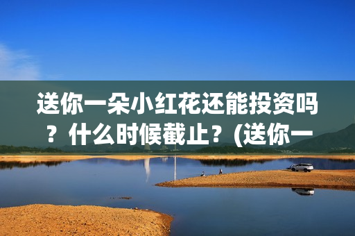 送你一朵小红花还能投资吗？什么时候截止？(送你一朵小红花电影)
