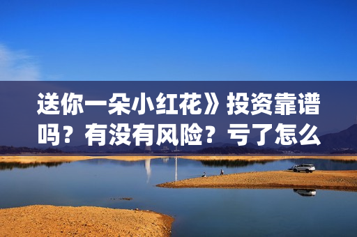 送你一朵小红花》投资靠谱吗？有没有风险？亏了怎么办？(送你一朵小红花电影剧情介绍)