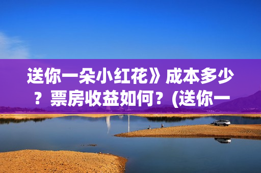 送你一朵小红花》成本多少？票房收益如何？(送你一朵小红花电影)