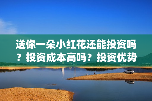 送你一朵小红花还能投资吗？投资成本高吗？投资优势是什么？(送你一朵小红花原唱)