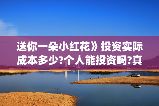 送你一朵小红花》投资实际成本多少?个人能投资吗?真实吗(送你一朵小红花电影免费观看)
