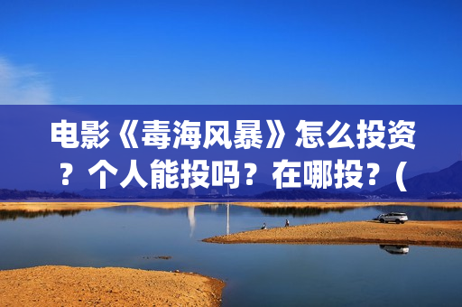 电影《毒海风暴》怎么投资？个人能投吗？在哪投？(毒海风暴有哪几家拍摄)