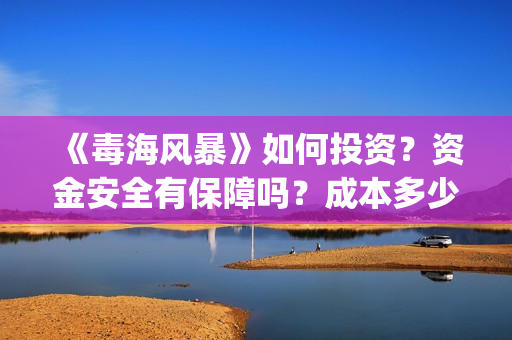《毒海风暴》如何投资？资金安全有保障吗？成本多少？(毒海风暴上映时间)