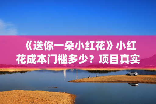  《送你一朵小红花》小红花成本门槛多少？项目真实可靠吗？(送你一朵小红花免费观看完整版)