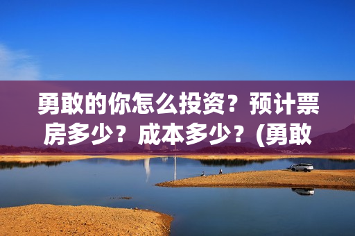 勇敢的你怎么投资？预计票房多少？成本多少？(勇敢的你怎不上映)