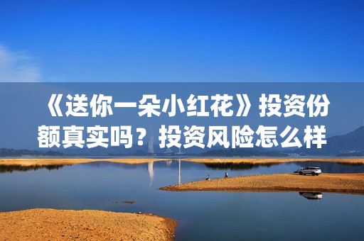 《送你一朵小红花》投资份额真实吗？投资风险怎么样？怎么(送你一朵小红花歌词表达什么意思)