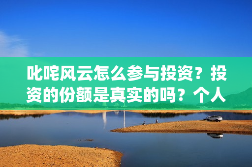 叱咤风云怎么参与投资？投资的份额是真实的吗？个人怎么参与？(叱咤风云解说)
