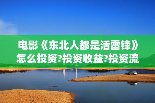 电影《东北人都是活雷锋》怎么投资?投资收益?投资流程?(电视剧东北人)
