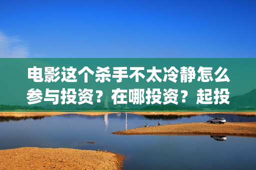 电影这个杀手不太冷静怎么参与投资？在哪投资？起投门槛多少？(电影这个杀手不太冷静演员表)