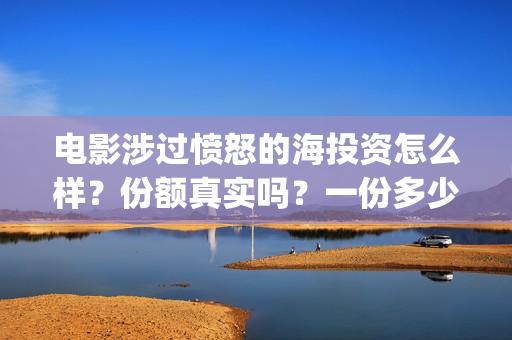 电影涉过愤怒的海投资怎么样？份额真实吗？一份多少钱？(电影涉过愤怒的海讲了什么)
