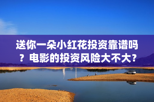 送你一朵小红花投资靠谱吗？电影的投资风险大不大？(送你一朵小红花电影)