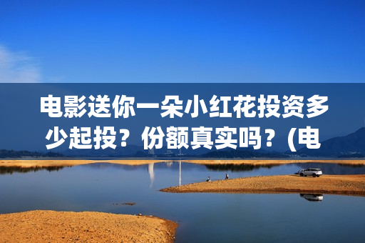 电影送你一朵小红花投资多少起投？份额真实吗？(电影送你一朵小红花简介)