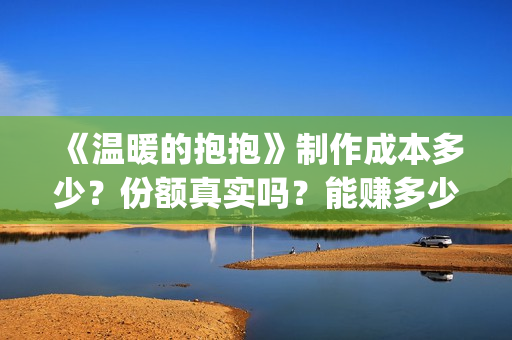 《温暖的抱抱》制作成本多少？份额真实吗？能赚多少？(温暖的抱抱电影免费观看)