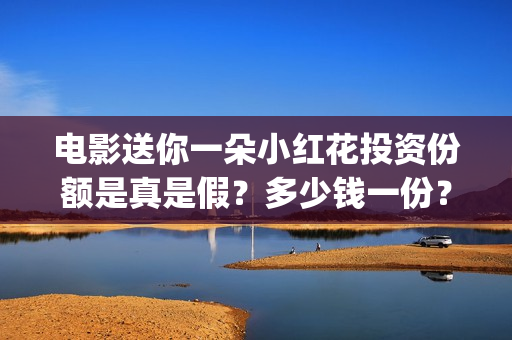 电影送你一朵小红花投资份额是真是假？多少钱一份？(电影送你一朵小红花讲述的主题是抗癌吗)