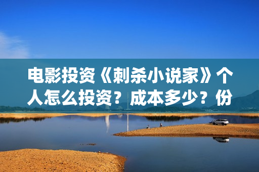 电影投资《刺杀小说家》个人怎么投资？成本多少？份额怎么算(刺杀 电影)