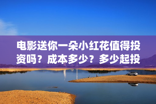 电影送你一朵小红花值得投资吗？成本多少？多少起投？ (电影送你一朵小红花讲述的主题是抗癌吗)
