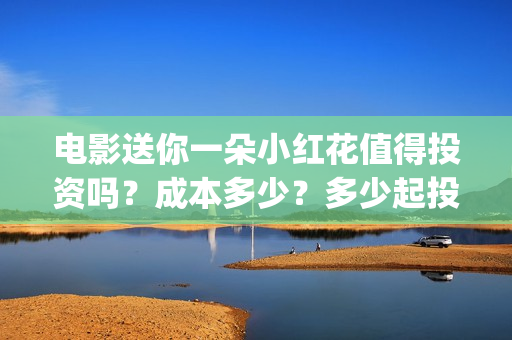 电影送你一朵小红花值得投资吗？成本多少？多少起投？ (电影送你一朵小红花主题曲)