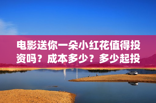 电影送你一朵小红花值得投资吗？成本多少？多少起投？(电影送你一朵小红花简介)