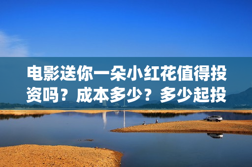 电影送你一朵小红花值得投资吗？成本多少？多少起投？(电影送你一朵小红花的英文)