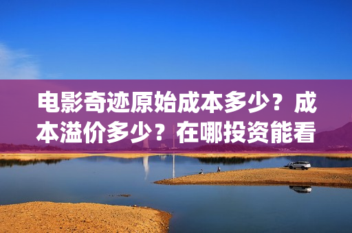 电影奇迹原始成本多少？成本溢价多少？在哪投资能看底层协议？(奇迹原则)