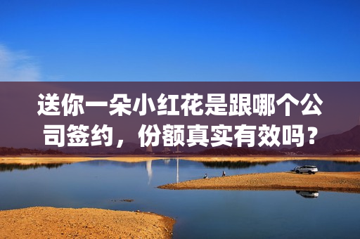 送你一朵小红花是跟哪个公司签约，份额真实有效吗？ (送你一朵小红花结局)