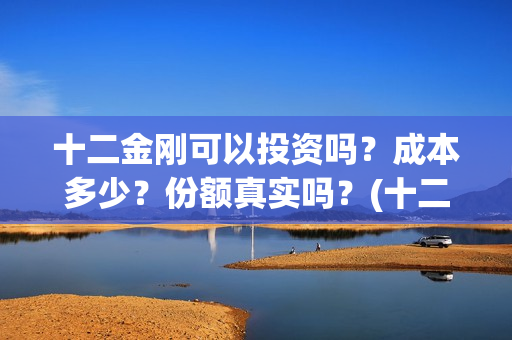 十二金刚可以投资吗？成本多少？份额真实吗？(十二金刚怎么看不了)