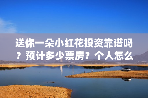 送你一朵小红花投资靠谱吗？预计多少票房？个人怎么参与？(送你一朵小红花简谱)