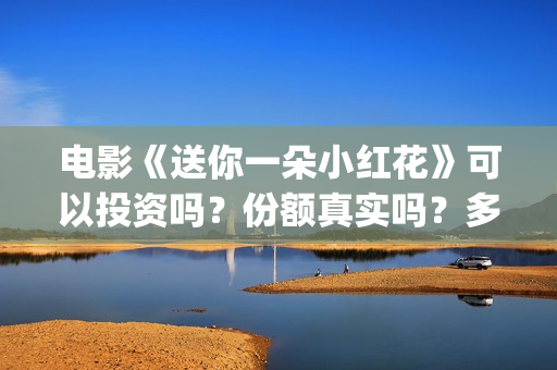 电影《送你一朵小红花》可以投资吗？份额真实吗？多少钱一份？(电影《送你一朵小红花》)