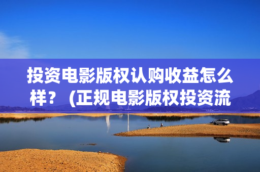 投资电影版权认购收益怎么样？ (正规电影版权投资流程)