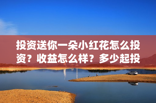 投资送你一朵小红花怎么投资?收益怎么样?多少起投?(送你一朵小红花投资商) 投资送你一朵小红花怎么投资?收益怎么样?多少起投?(送你一朵小红花投资商)