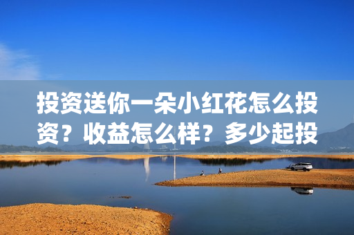 投资送你一朵小红花怎么投资？收益怎么样？多少起投？(投资送你一朵小红花)