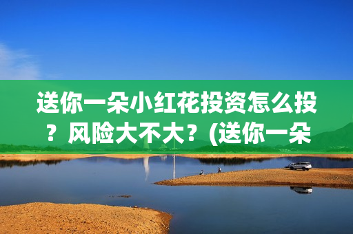 送你一朵小红花投资怎么投？风险大不大？(送你一朵小红花简谱)