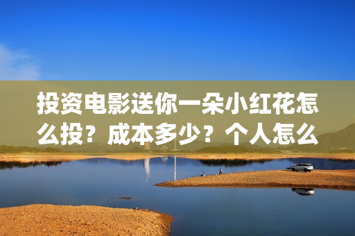 投资电影送你一朵小红花怎么投？成本多少？个人怎么参与？(投资电影一定赚钱吗)