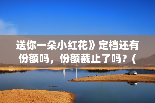 送你一朵小红花》定档还有份额吗，份额截止了吗？(送你一朵小红花电影)