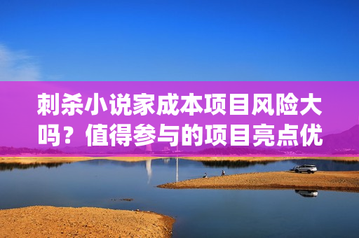 刺杀小说家成本项目风险大吗？值得参与的项目亮点优势有哪些？(刺杀小说家成本和票房)