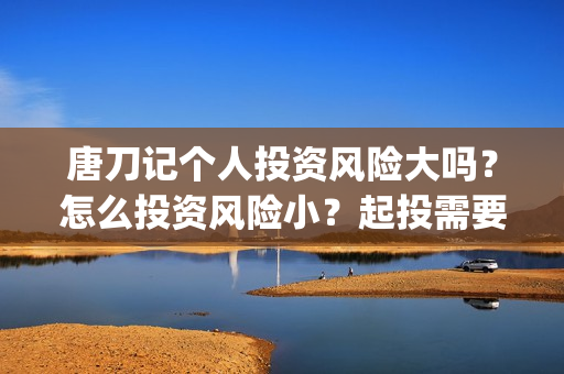 唐刀记个人投资风险大吗？怎么投资风险小？起投需要门槛吗？(唐刀纪录片视频)