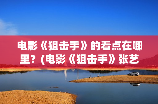 电影《狙击手》的看点在哪里？(电影《狙击手》张艺谋)