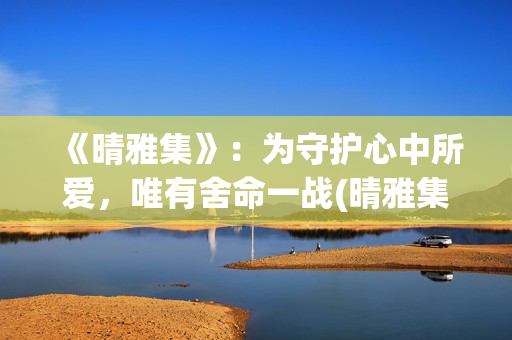 《晴雅集》：为守护心中所爱，唯有舍命一战(晴雅集说的是什么?)