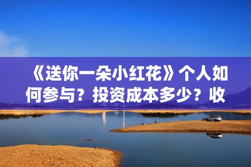 《送你一朵小红花》个人如何参与？投资成本多少？收益空间大吗？(送你一朵小红花歌词)