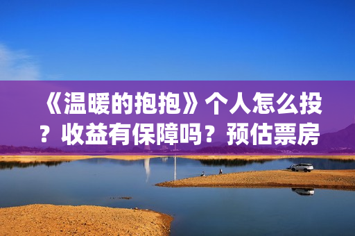 《温暖的抱抱》个人怎么投？收益有保障吗？预估票房多少？(温暖的抱抱为什么禁了)