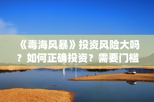 《毒海风暴》投资风险大吗？如何正确投资？需要门槛吗？(电影《毒海风暴》)