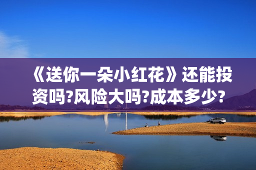 《送你一朵小红花》还能投资吗?风险大吗?成本多少?(送你一朵小红花)