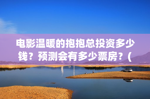 电影温暖的抱抱总投资多少钱？预测会有多少票房？(电影温暖的抱抱剧情介绍)
