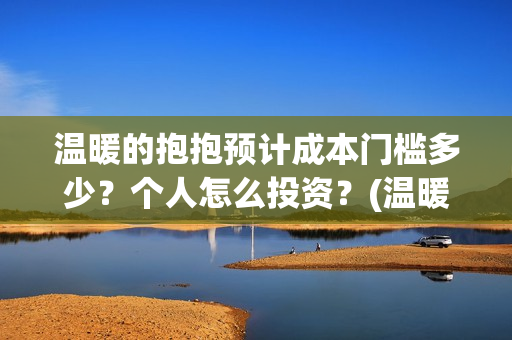 温暖的抱抱预计成本门槛多少？个人怎么投资？(温暖的抱抱上线)