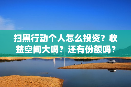扫黑行动个人怎么投资？收益空间大吗？还有份额吗？(扫黑行动主要内容)